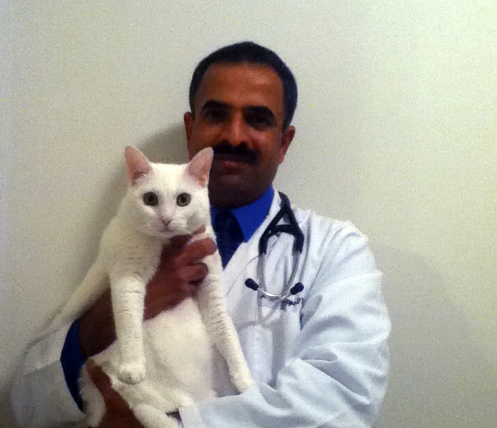 Dr. Mohana G. Ramappa | MS DVM Dr. Mohana G. Ramappa | MS DVM